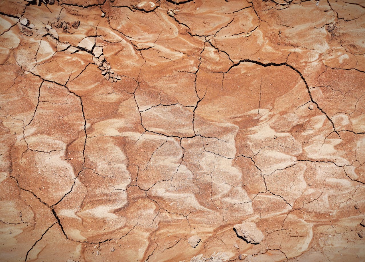 Close-up of cracked earth in arid terrain, highlighting drought effects.